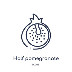 half pomegranate icon from religion outline collection. Thin line half pomegranate icon isolated on white background.