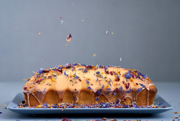 Dynamic Loaf Cake, sweet bakery