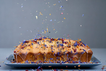 Dynamic Loaf Cake, sweet bakery