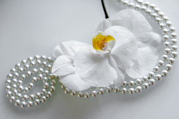 pearl and white orchid on a white glas 