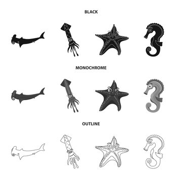 Vector illustration of sea and animal icon. Collection of sea and marine stock symbol for web.