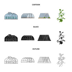 Vector design of greenhouse and plant logo. Collection of greenhouse and garden vector icon for stock.