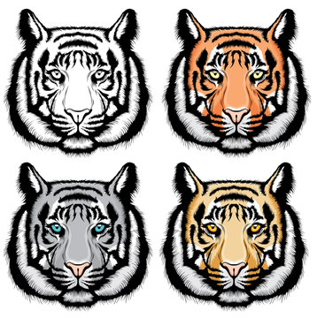 Set of tiger heads.