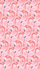 flamingo pattern background,living coral tone 2019,illustraion,color pencils technique © TATTA