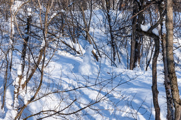 Snowman in the winter forest