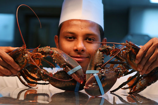 Canadian Lobster Display By A Chef