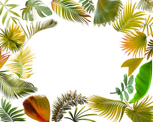 Fototapeta na wymiar tropical green palm leaf on white for summer background