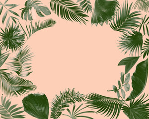Fototapeta na wymiar tropical frond palm leaf for summer background