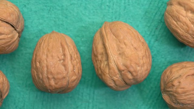 close-up pan over walnuts against handmade textured turquoise paper