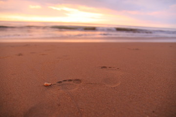 The Beach