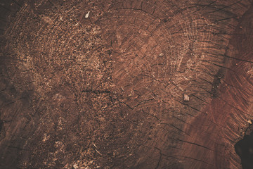 wood texture background