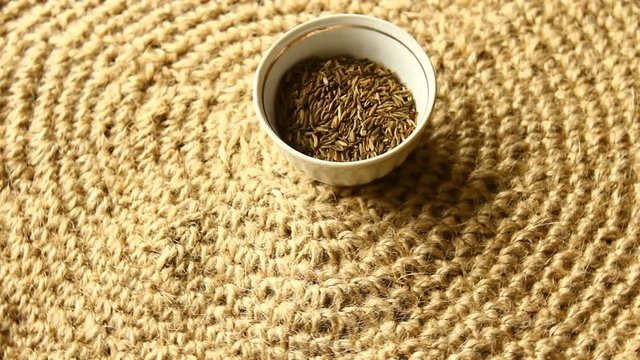 Caraway seeds. Write spices for preparation, slow motion.