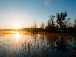 The river in the morning. Orange dawn over the meadow spill.