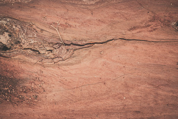 wood texture background