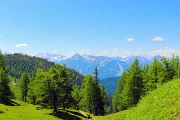 Trekking route in National park Dachstein, Austria. Away alpine mountains and green forest