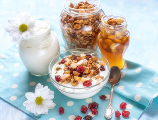 Natural yoghurt with granola nuts and dried fruits. natural healthy food.