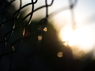 metallic fence at the sunset sun shine