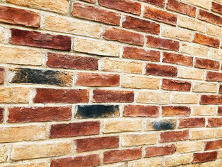  Brick wall with white and red colored bricks 