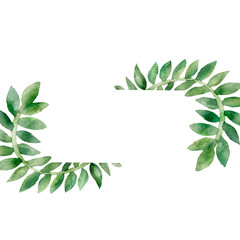 Tropical climbing plants. Watercolor rectangular frame, vine branches isolated on white background. Hand painted green leaves, branches for beautiful design with space for text.