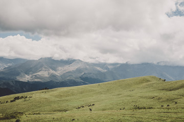 Closeup view mountains and valley scenes in national park Caucasus, Russia