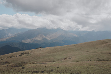 Closeup view mountains and valley scenes in national park Caucasus, Russia