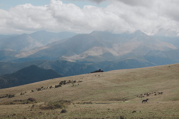 Closeup view mountains and valley scenes in national park Caucasus, Russia