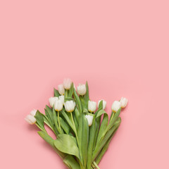 Bouquet of white tulip on pastel millennial pink. Top view with copy space.