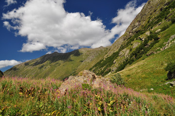 Closeup mountains scenes in national park Dombai, Caucasus, Russia