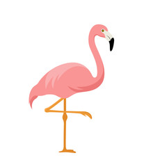 pink flamingo isolated on white background - obrazy, fototapety, plakaty