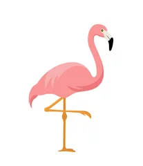 Muurstickers pink flamingo isolated on white background © lina30