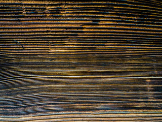 Old wooden natural texture, Brown wooden texture. Vintage rustic styles. Natural surface, background and wallpaper. toned