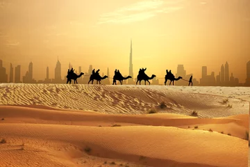 Acrylic prints Dubai Camel caravan on sand dunes on Arabian desert with Dubai skyline at sunset