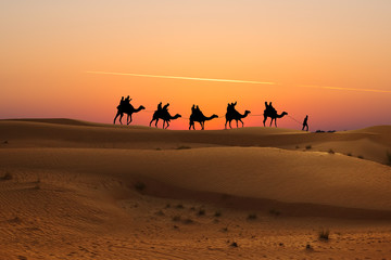 Fototapeta na wymiar Camel caravan with tourists at sunset in Arabian Dessert