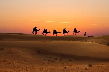 Fototapeten Camel caravan with tourists at sunset in Arabian Dessert © adrian_ilie825