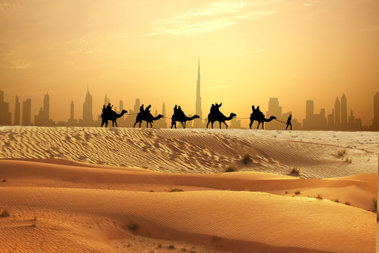 Camel caravan on sand dunes on Arabian desert with Dubai skyline at sunset