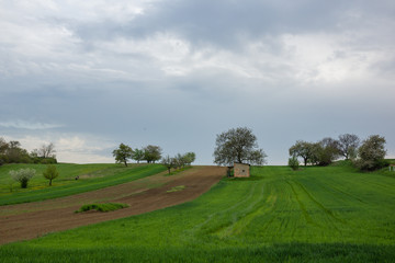 Fields in Moravia.near Mistrin, Czech Republic