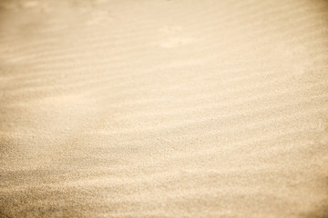 Plakat Beautiful sand near the sea on nature background