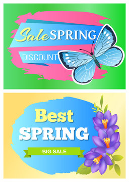 Set posters butterfly and flower spring discount. Sale best offer stickers collections, blue color flying insect vector of crocus flowers vouchers