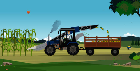 Fototapeta premium Farmers are harvesting agricultural products using machines.