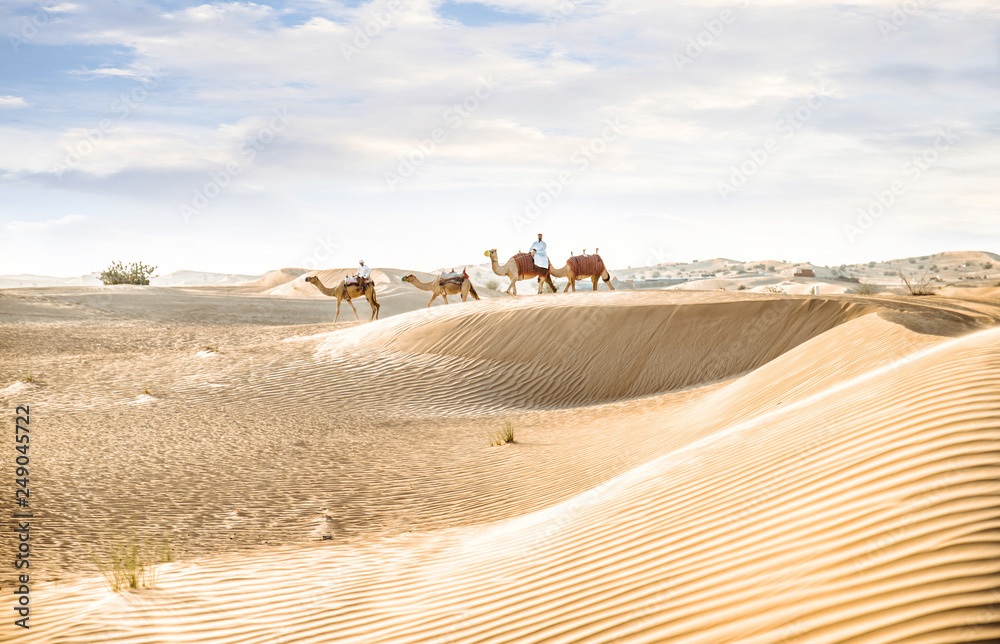 Wall mural man wearing traditional clothes, taking a camel out on the desert sand, in dubai