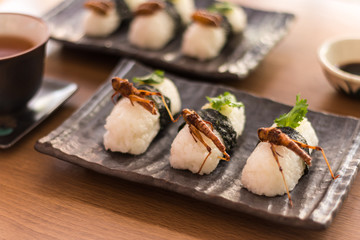 Insect food