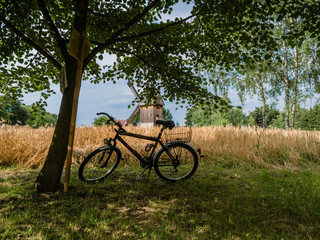 Fototapeta na wymiar Summer outdoor photo bicycle in gold wheat field parking under a tree.