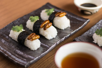 Insect food