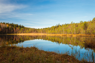 Forest lake landscape at autumn day