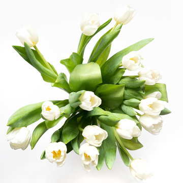Bouquet of white tulip on white. Floral pattern. Close up.