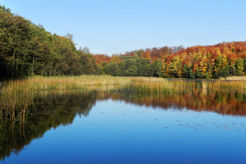 Fototapeta na wymiar Piękny jesienny krajobraz, jezioro i las