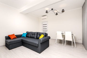 Modern white and gray living room interior