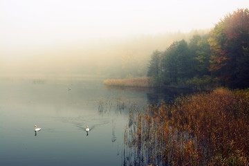 Fototapeta na wymiar mglisty poranek nad jeziorem, jesień