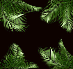 green palm leaves on back background