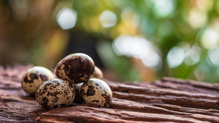 Quail eggs